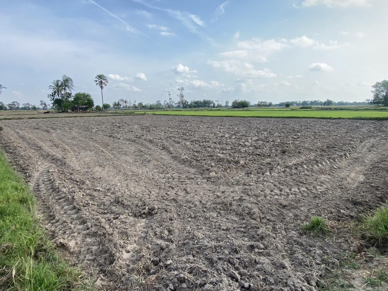 ภาพประกอบที่ 6