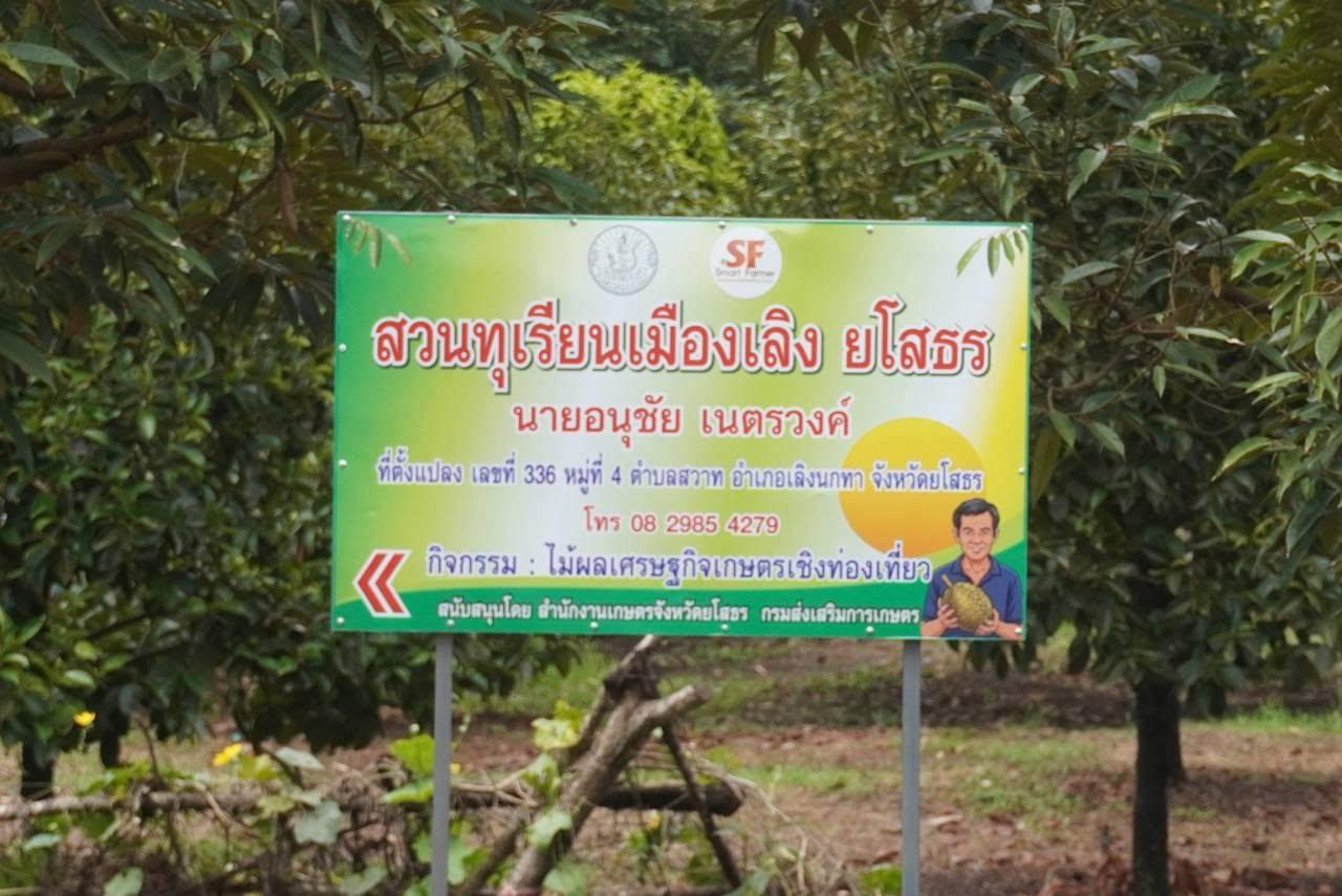 ภาพประกอบที่ 15