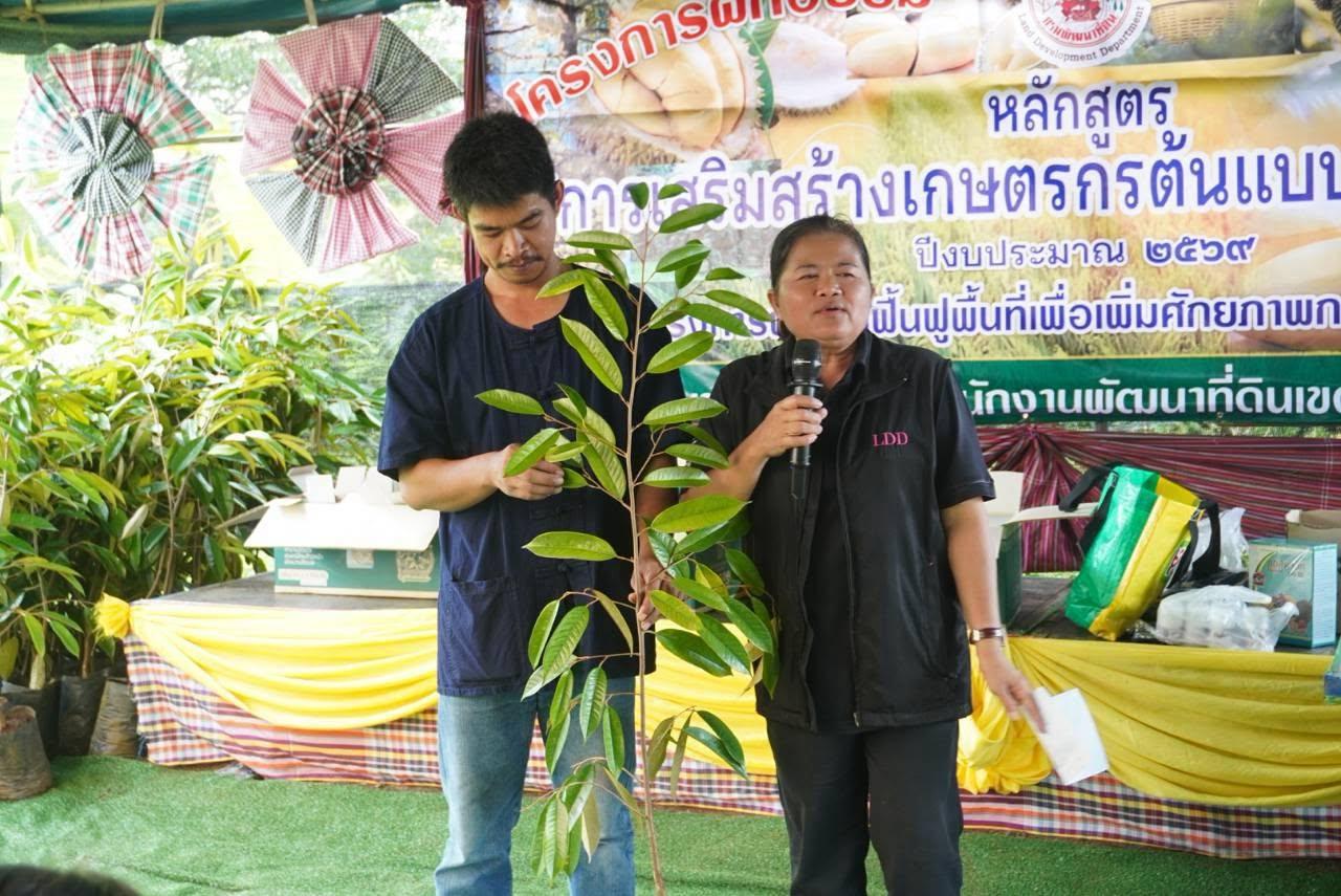 ภาพประกอบที่ 24