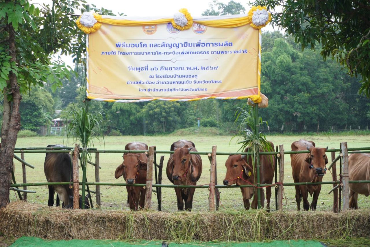 ภาพประกอบที่ 4