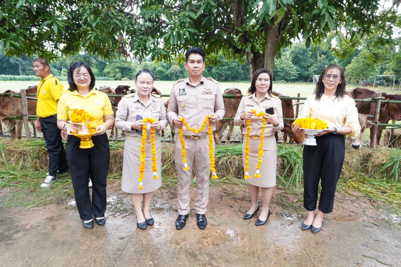 ภาพประกอบที่ 11