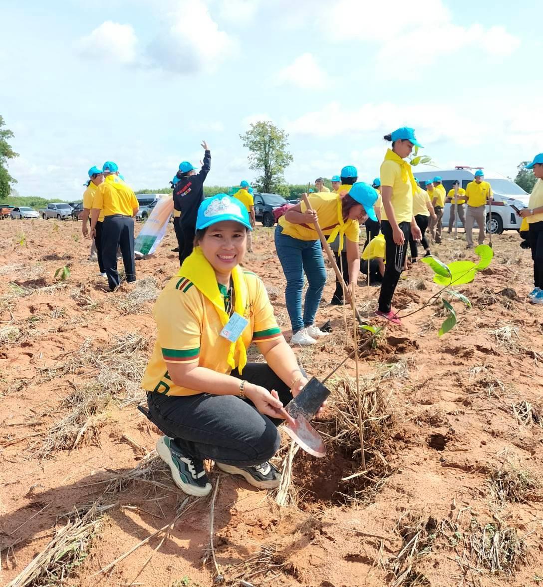 ภาพประกอบที่ 2