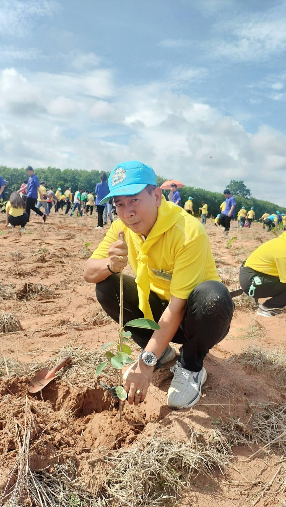 ภาพประกอบที่ 3