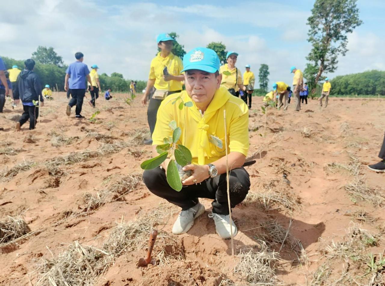 ภาพประกอบที่ 4