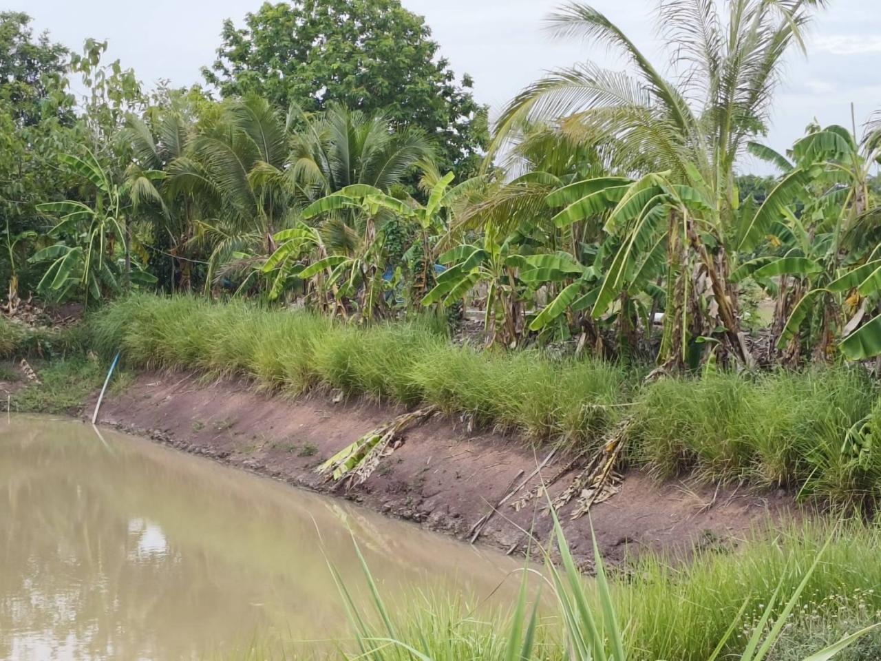 ภาพประกอบที่ 9