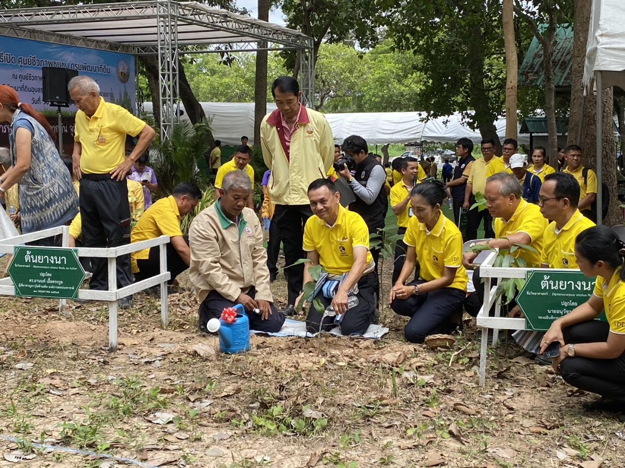 ภาพประกอบที่ 8