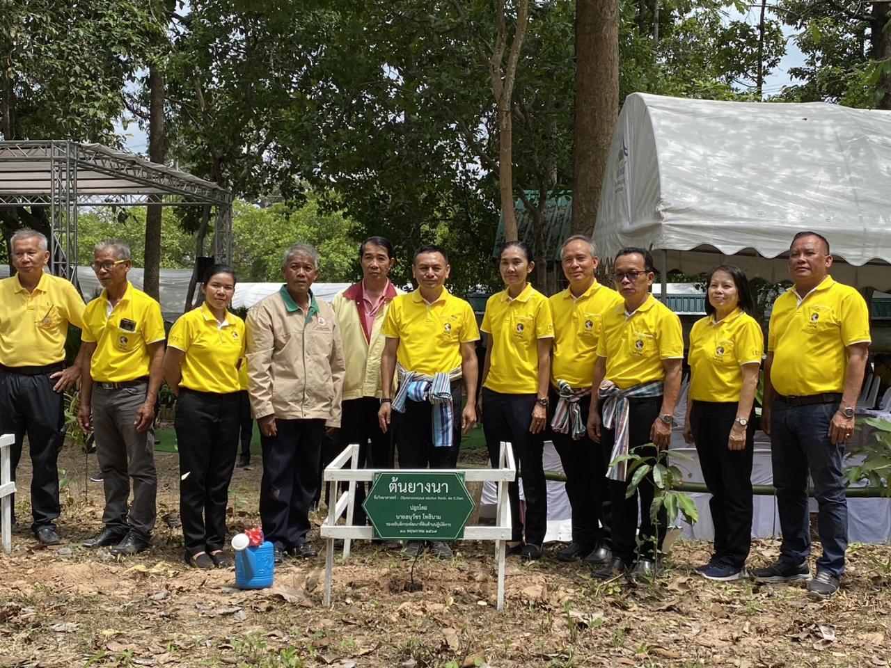 ภาพประกอบที่ 10