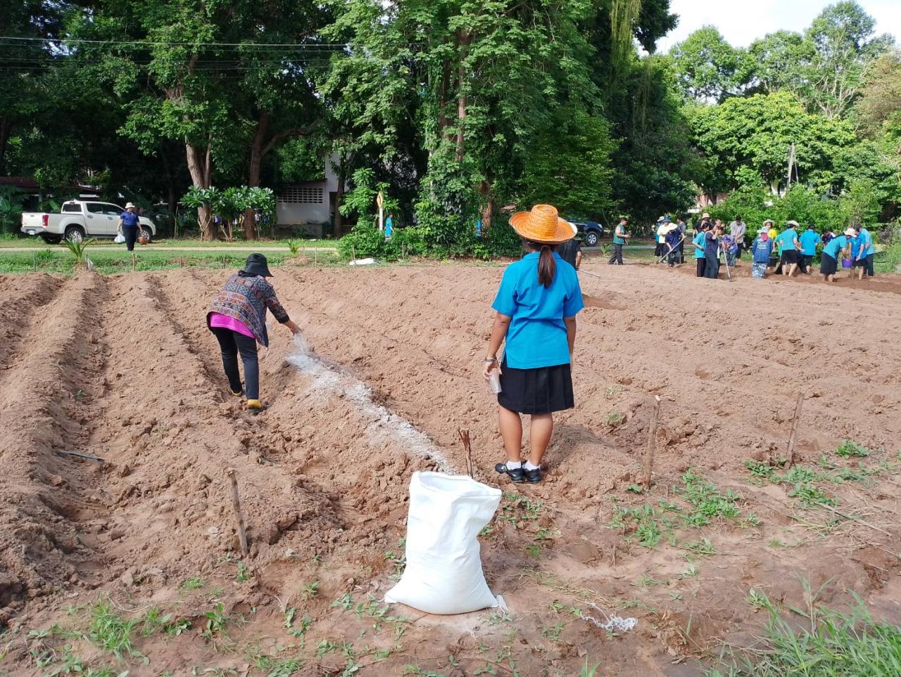 ภาพประกอบที่ 14