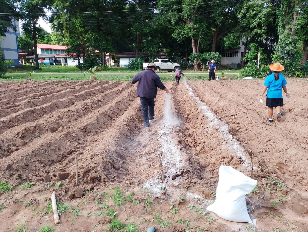 ภาพประกอบที่ 15