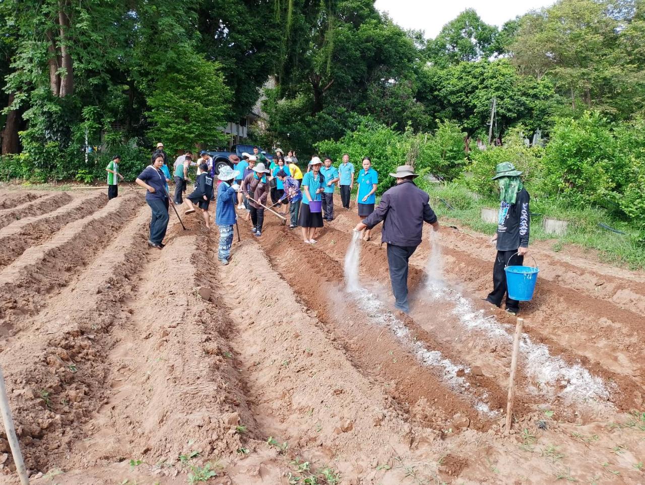 ภาพประกอบที่ 16