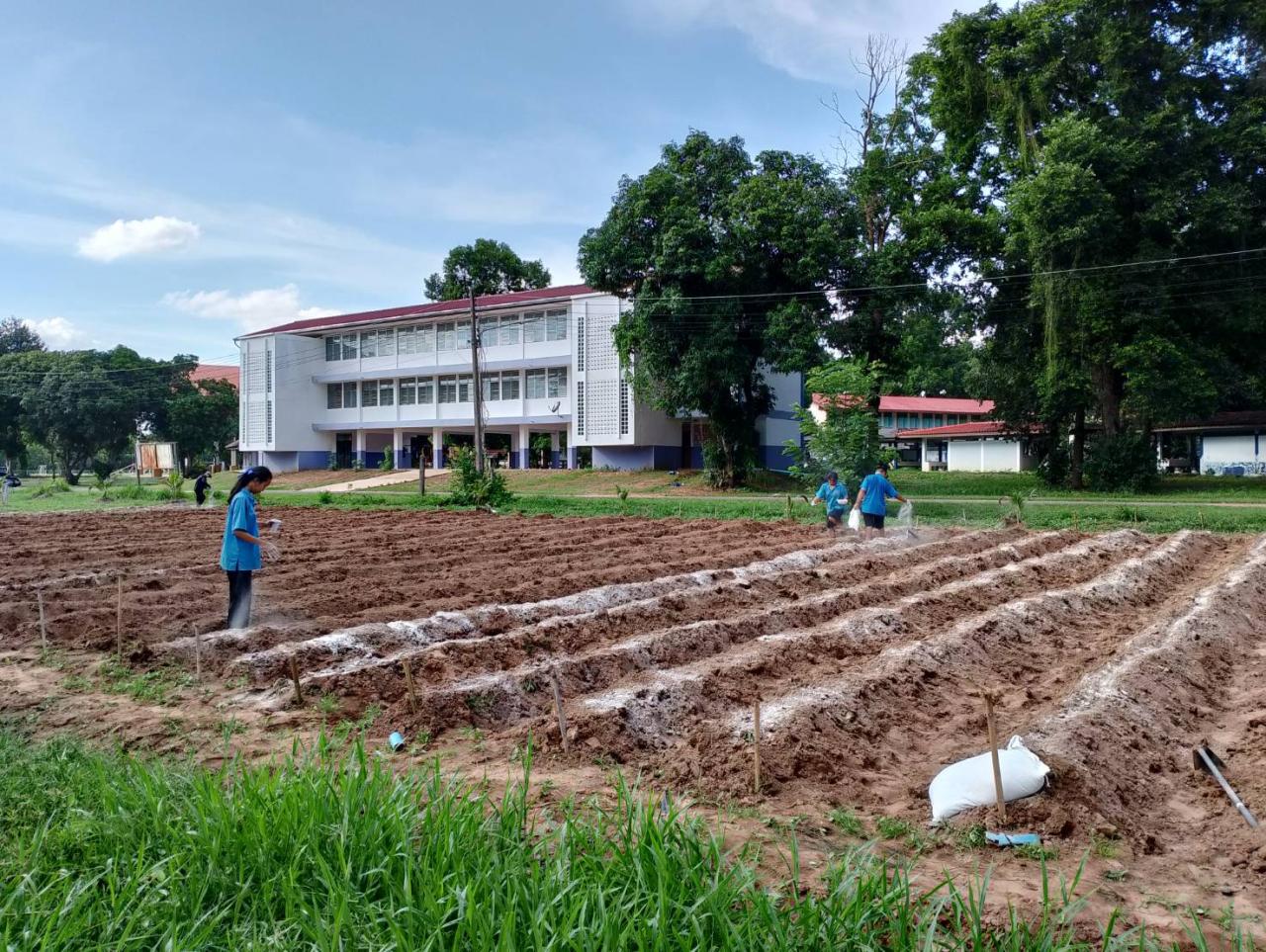 ภาพประกอบที่ 17