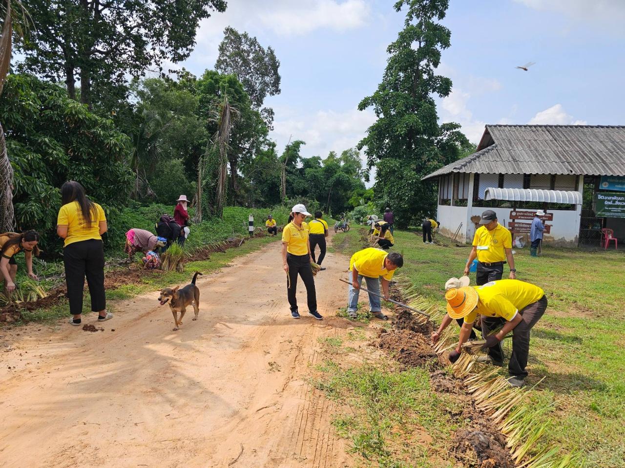 ภาพประกอบที่ 1