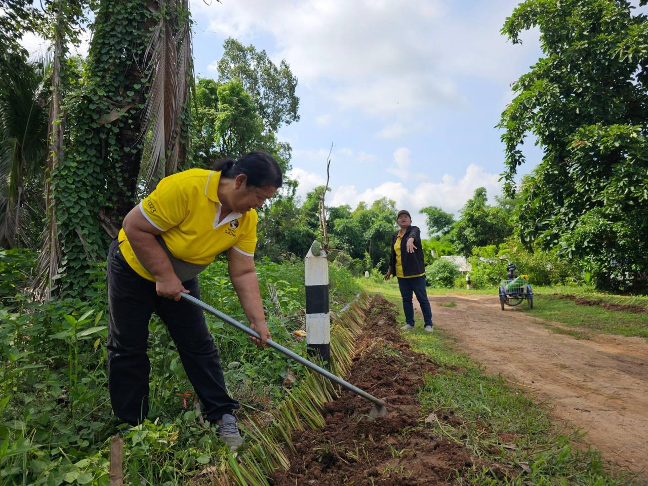 ภาพประกอบที่ 12