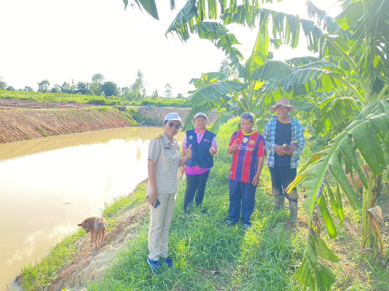 ภาพประกอบที่ 15