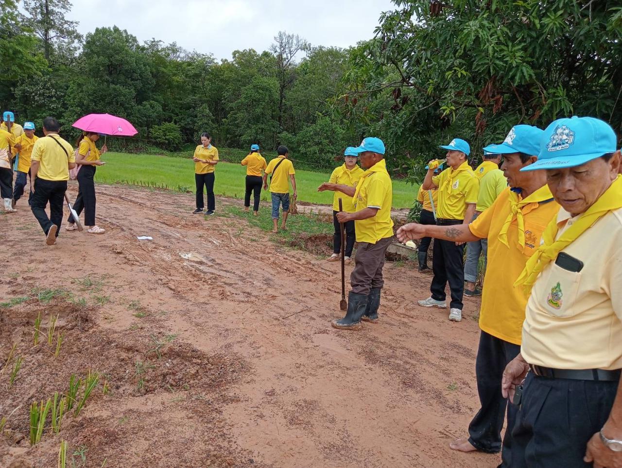 ภาพประกอบที่ 0