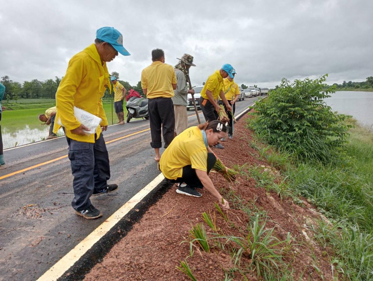 ภาพประกอบที่ 1