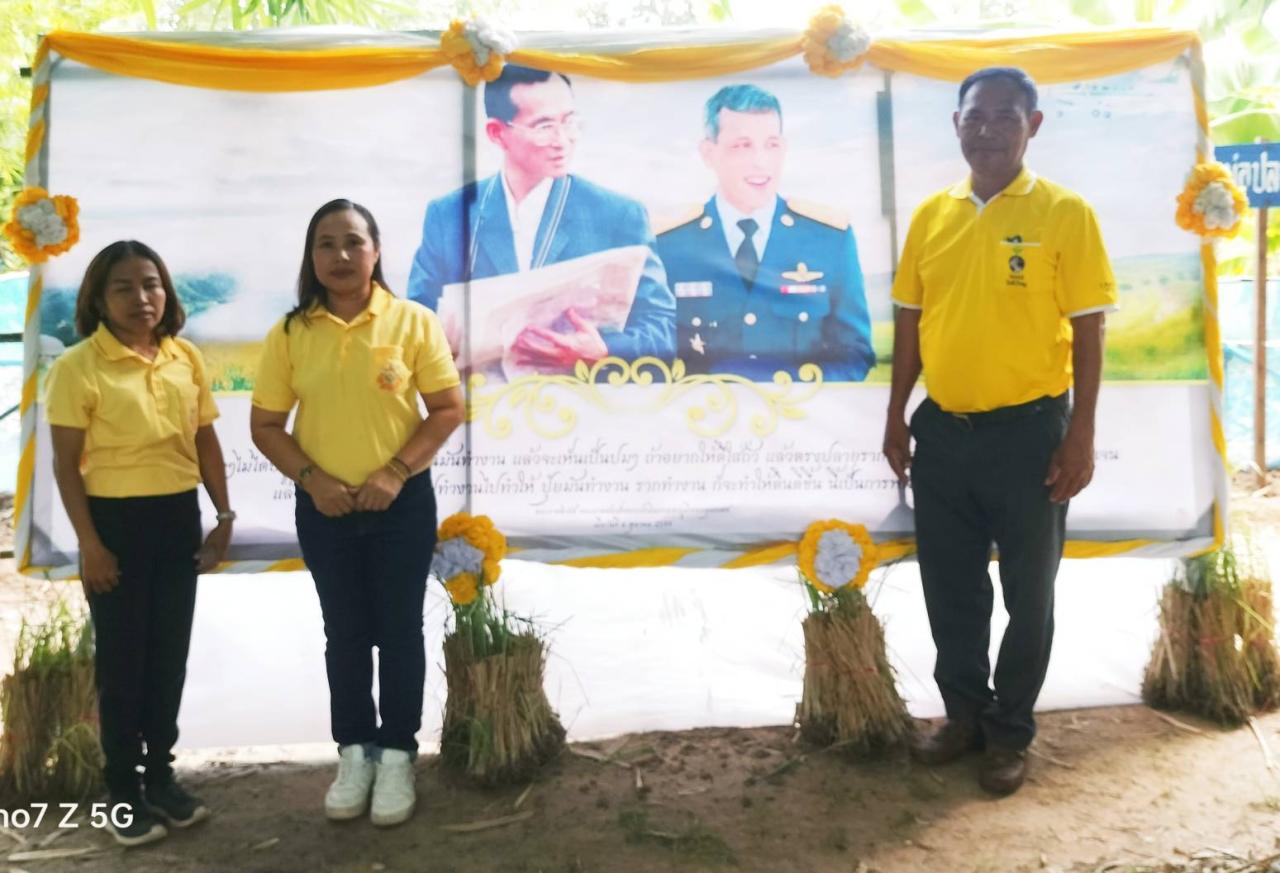 ภาพประกอบที่ 5