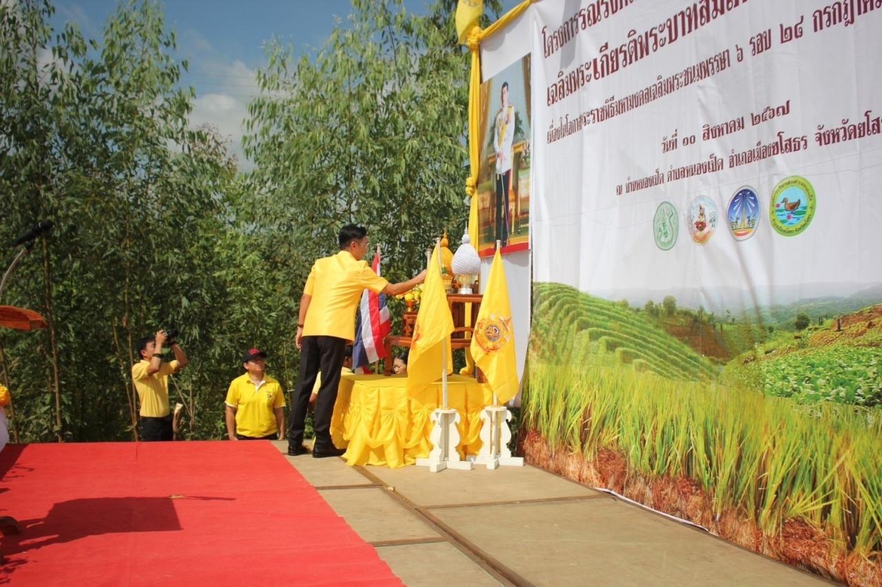 ภาพประกอบที่ 1