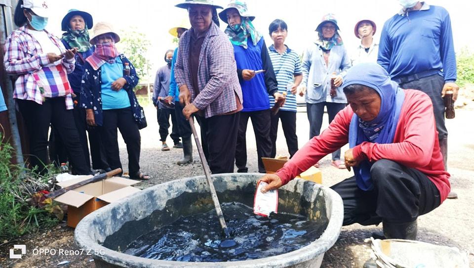 ภาพประกอบที่ 1