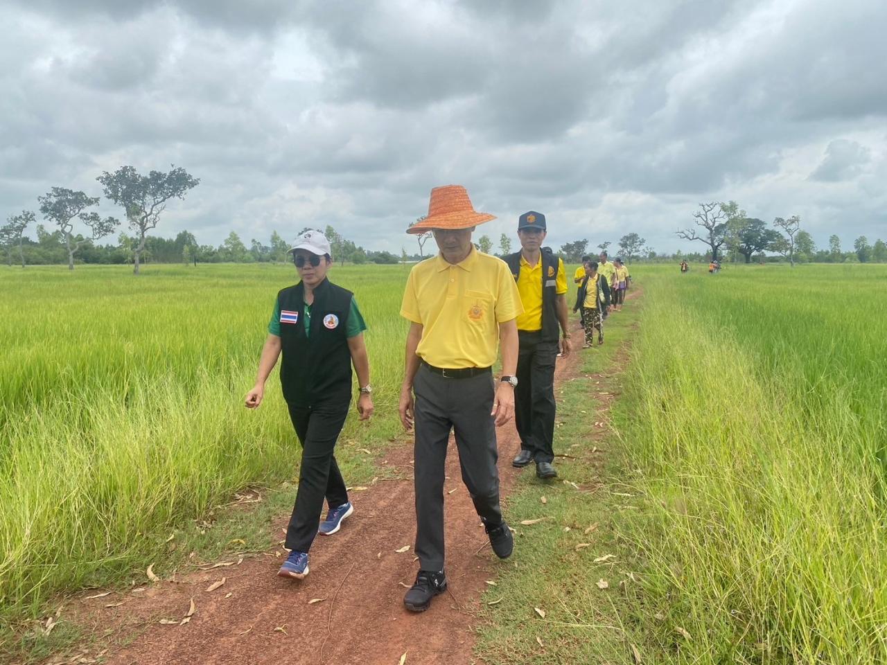 ภาพประกอบที่ 1