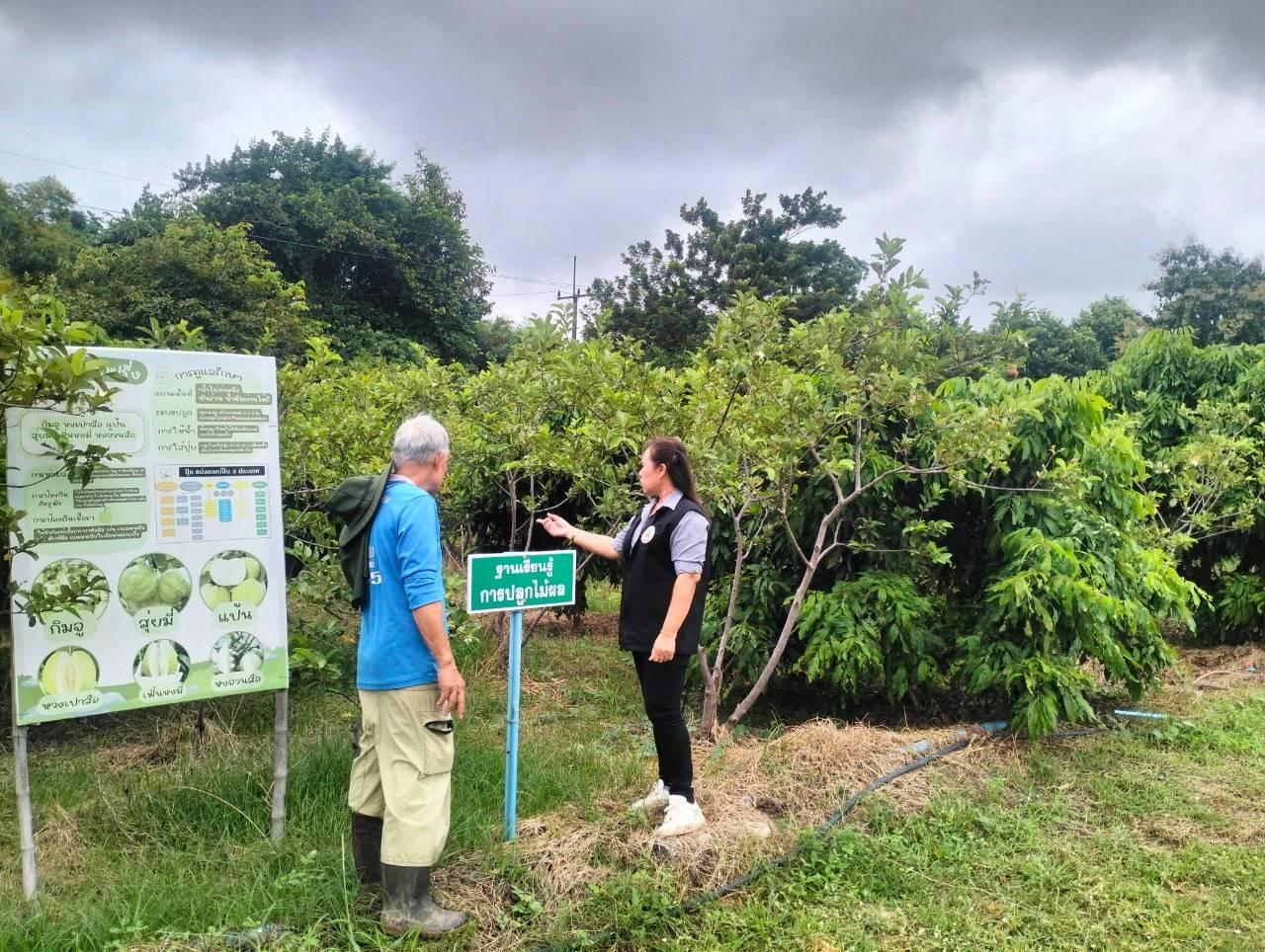 ภาพประกอบที่ 2