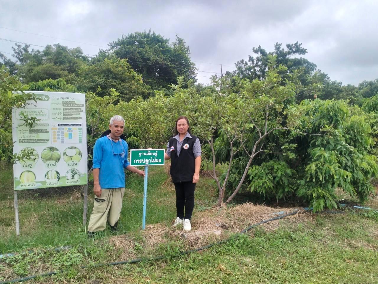 ภาพประกอบที่ 3