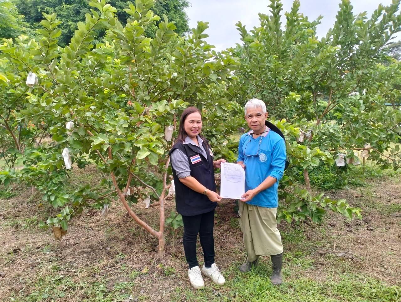 ภาพประกอบที่ 4