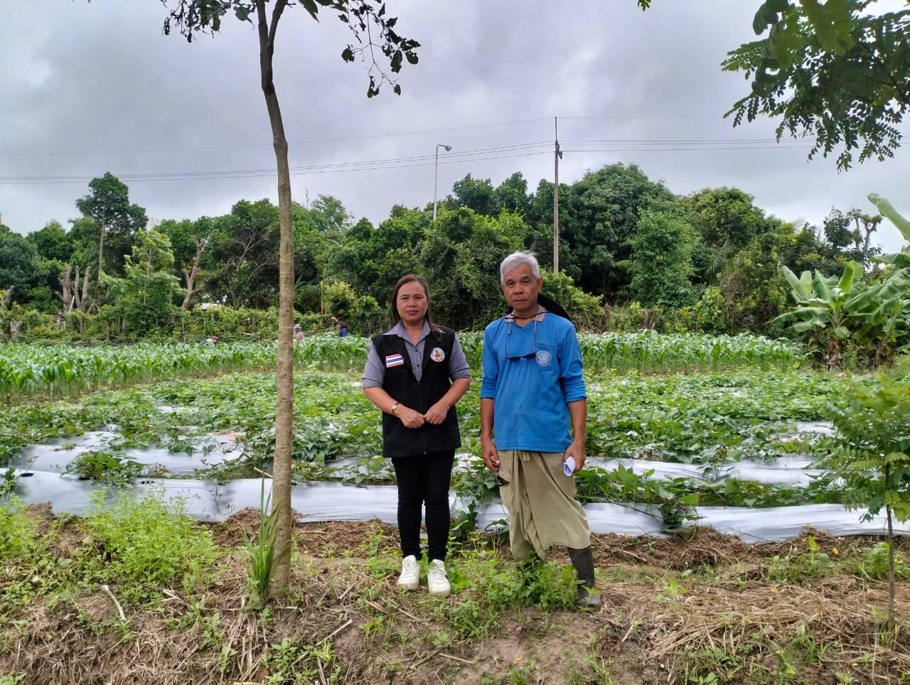ภาพประกอบที่ 5