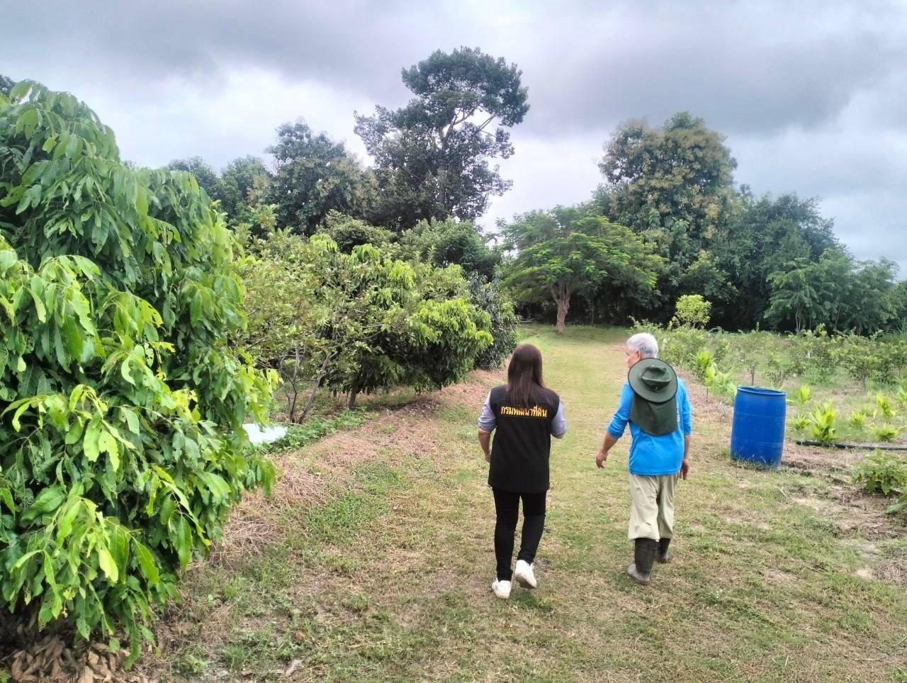 ภาพประกอบที่ 6