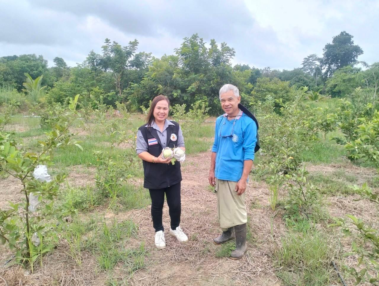 ภาพประกอบที่ 7