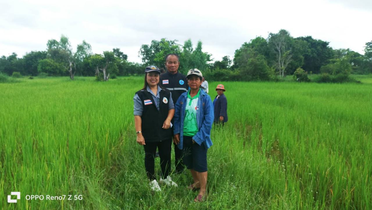 ภาพประกอบที่ 5