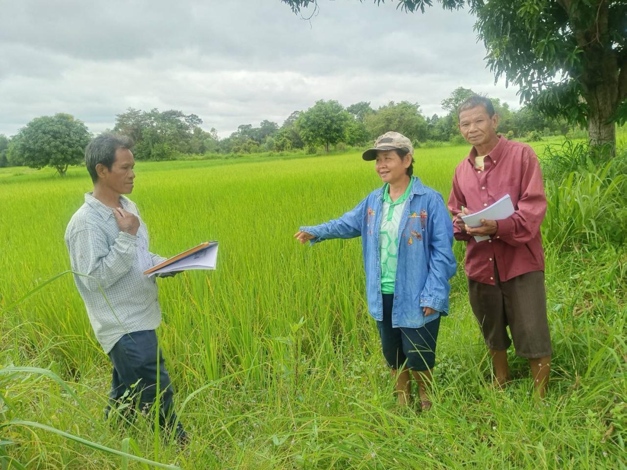 ภาพประกอบที่ 7