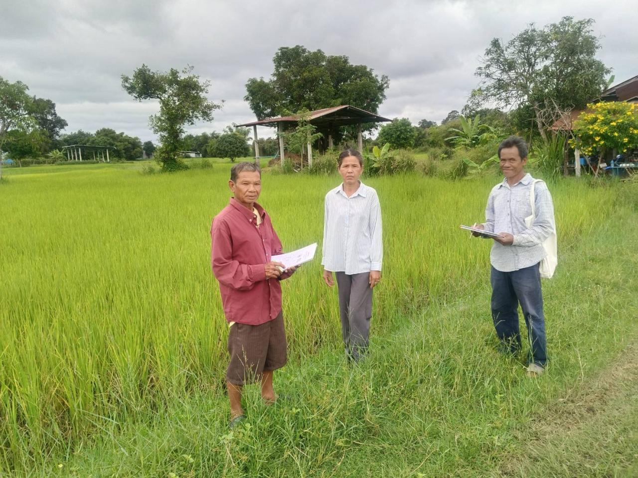 ภาพประกอบที่ 8