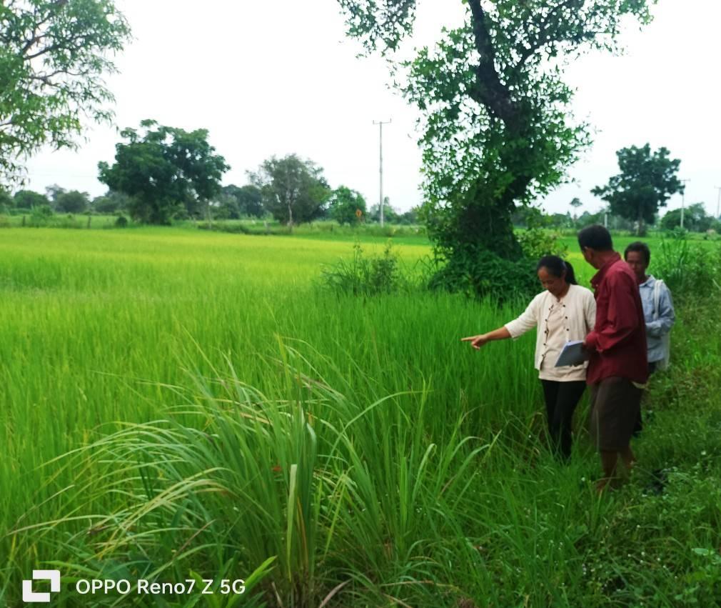 ภาพประกอบที่ 9