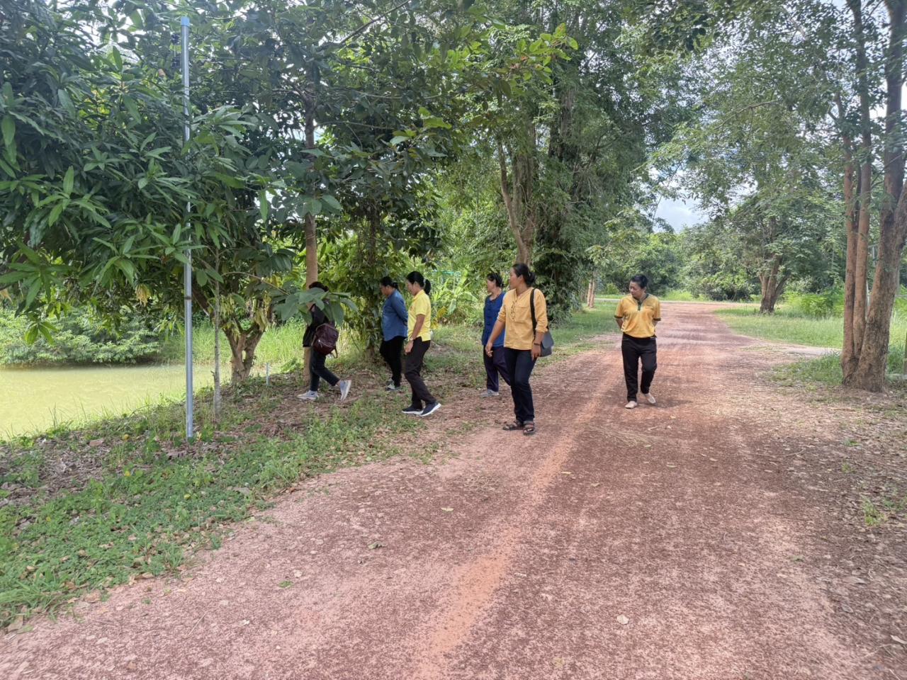 ภาพประกอบที่ 5