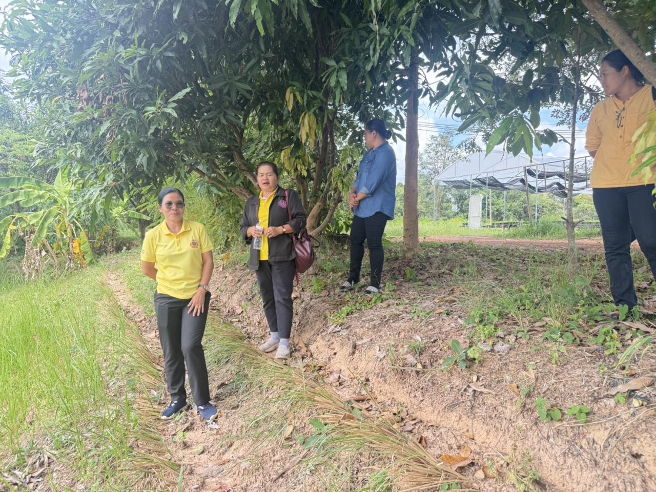 ภาพประกอบที่ 6