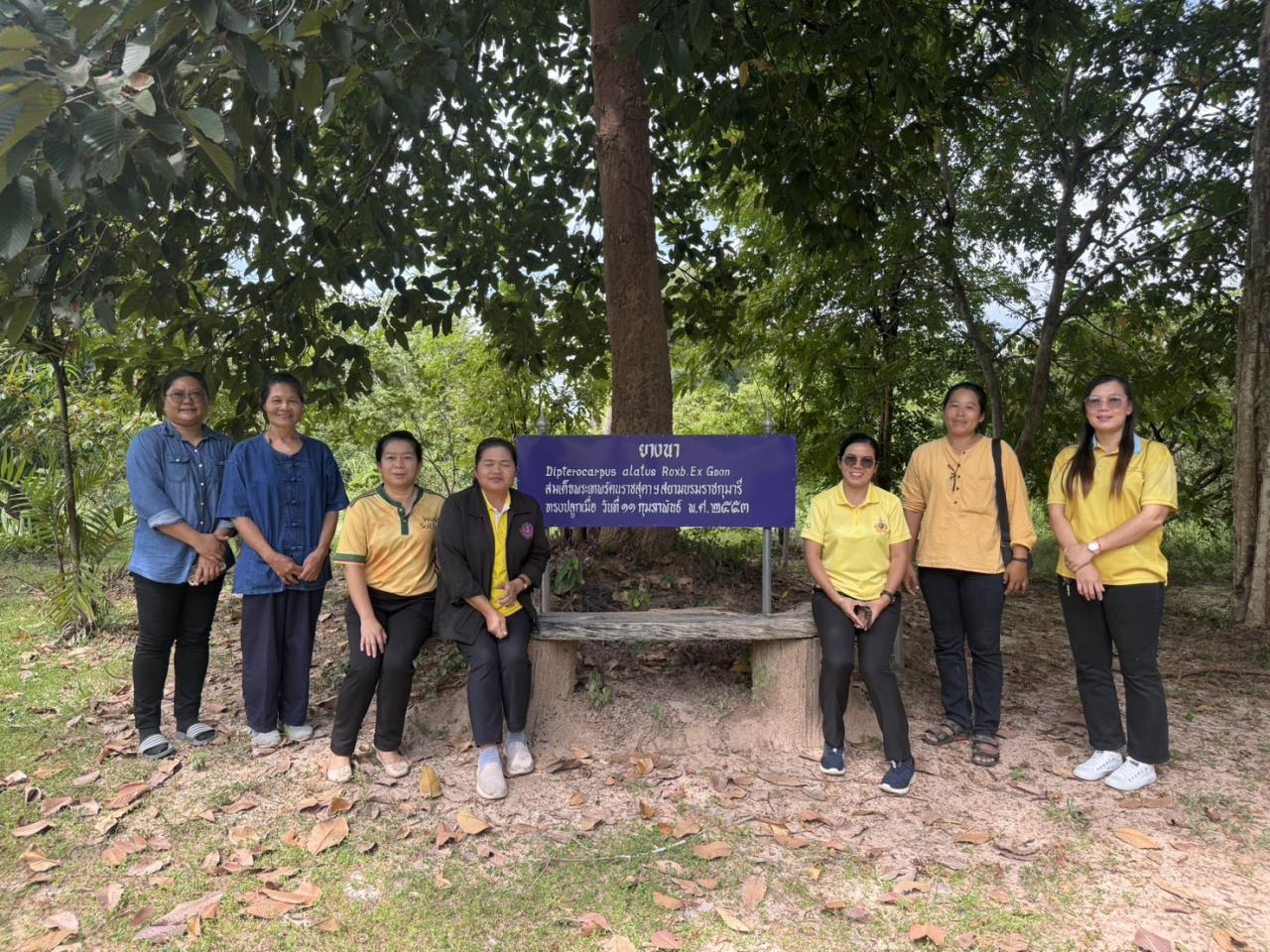 ภาพประกอบที่ 7