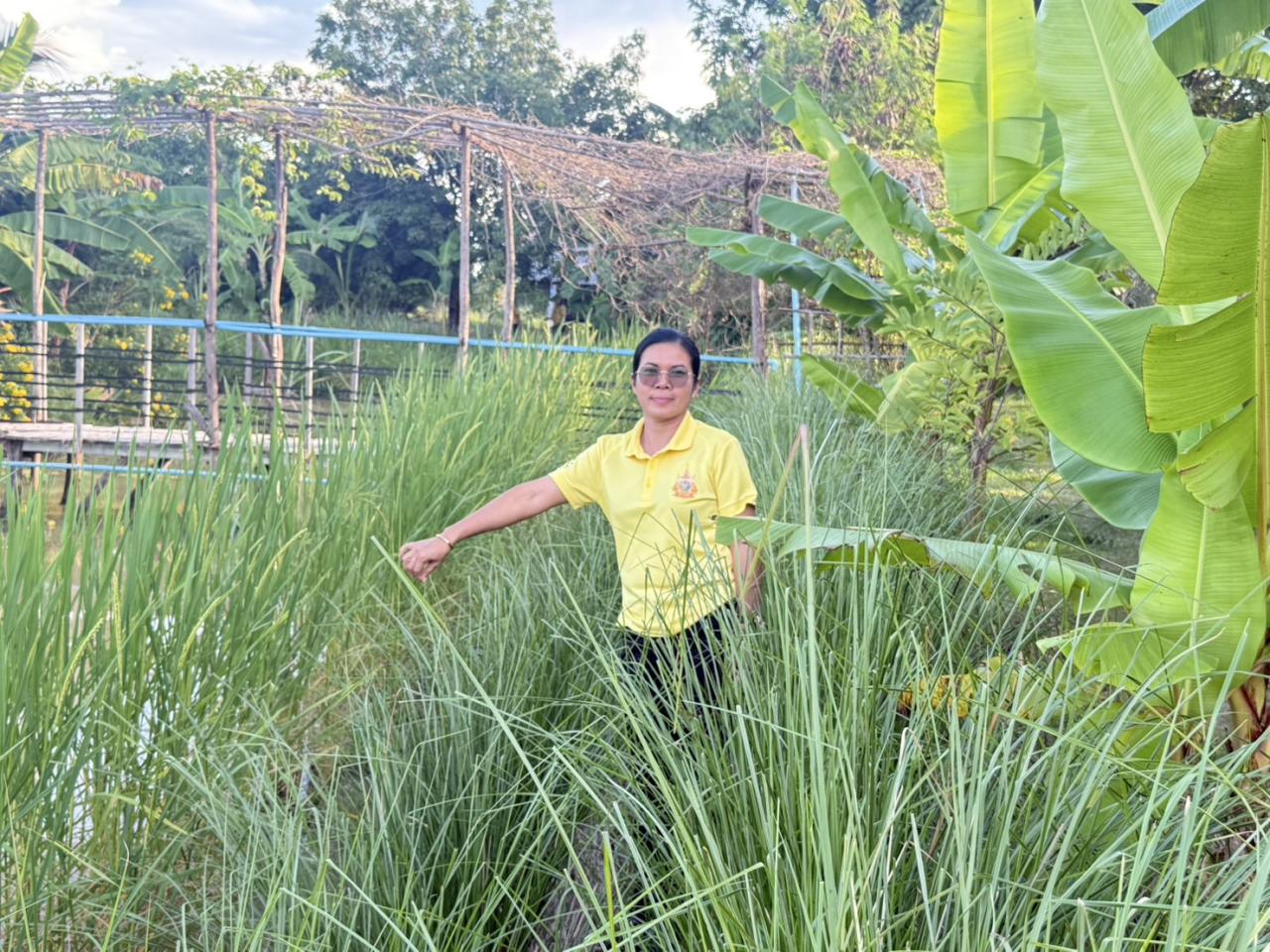 ภาพประกอบที่ 0