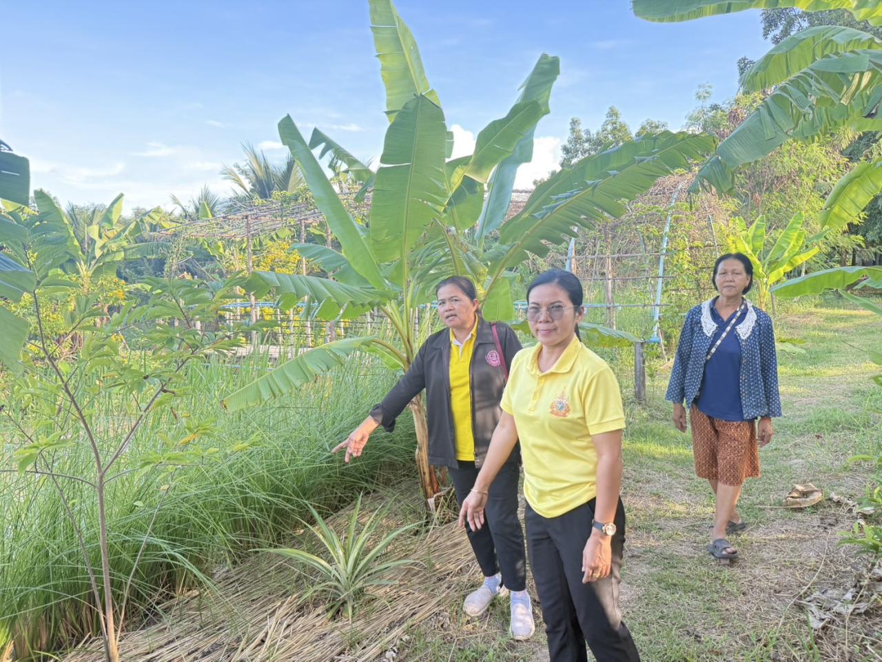 ภาพประกอบที่ 1