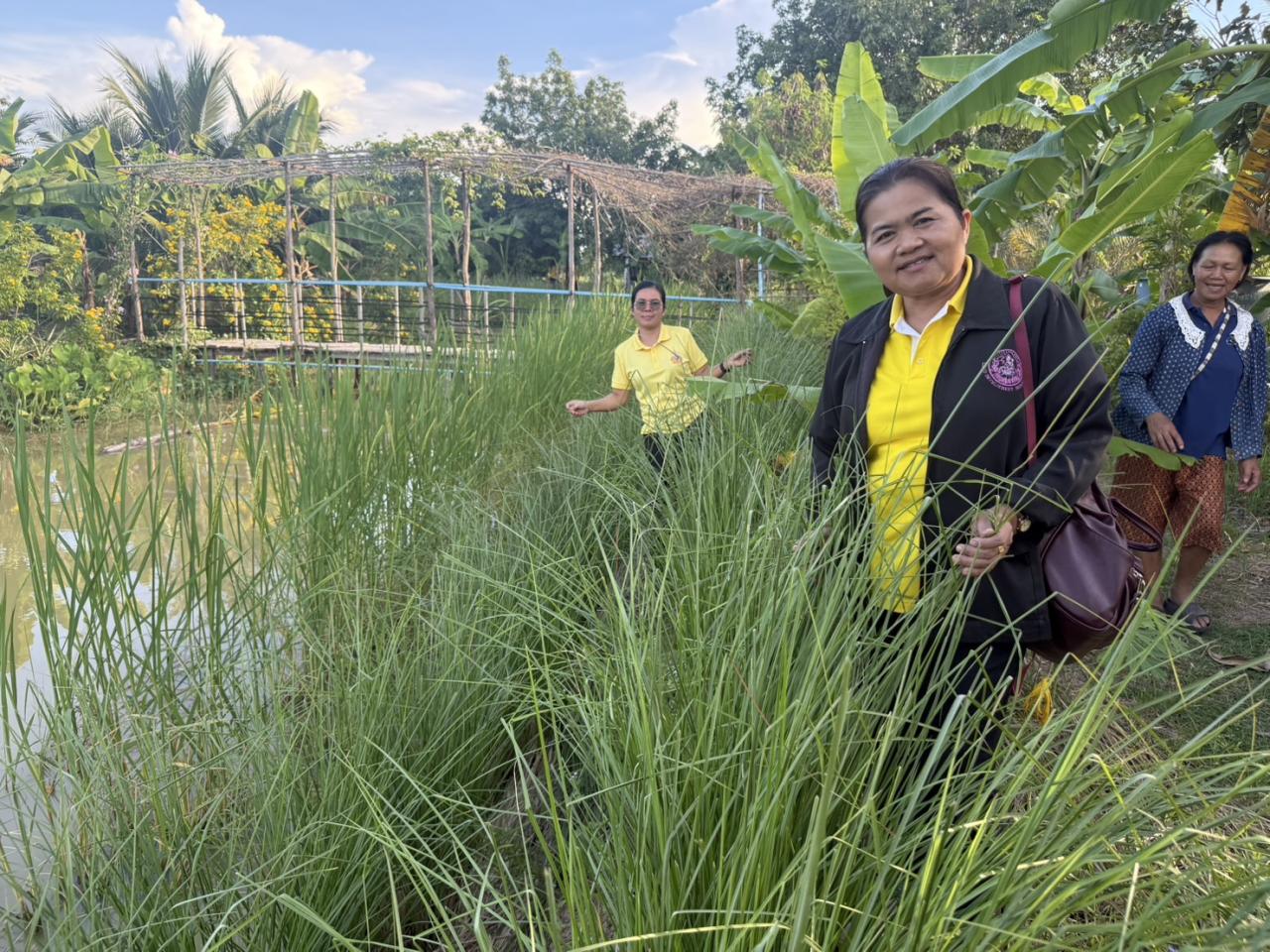 ภาพประกอบที่ 2