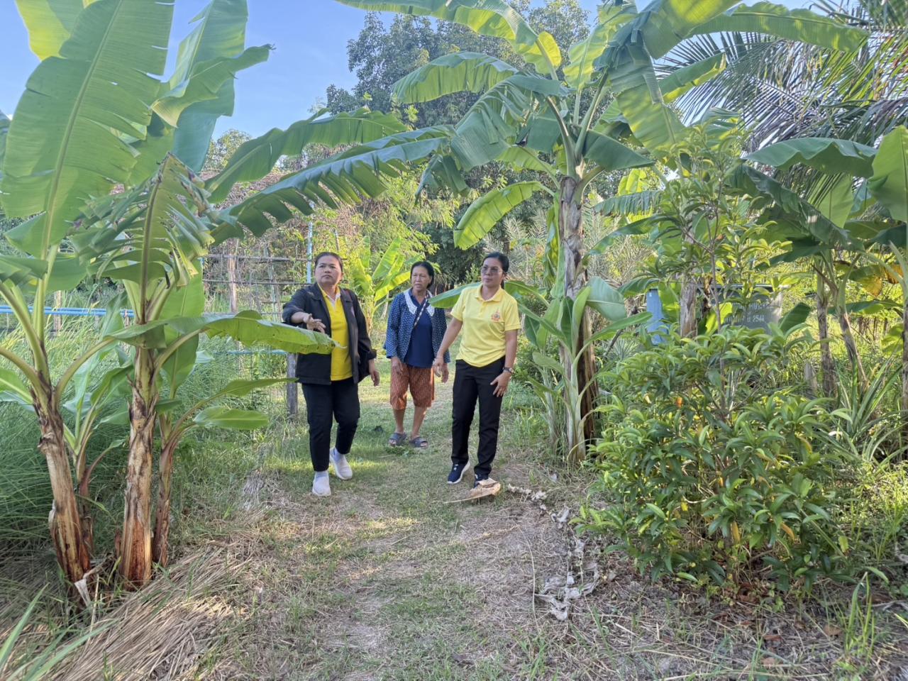 ภาพประกอบที่ 4