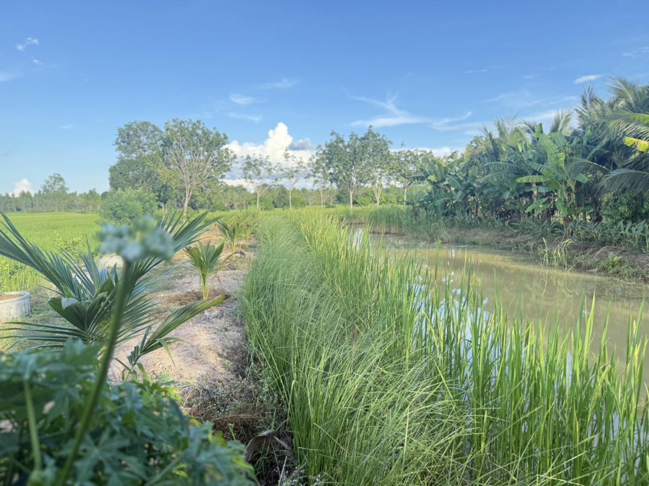 ภาพประกอบที่ 6