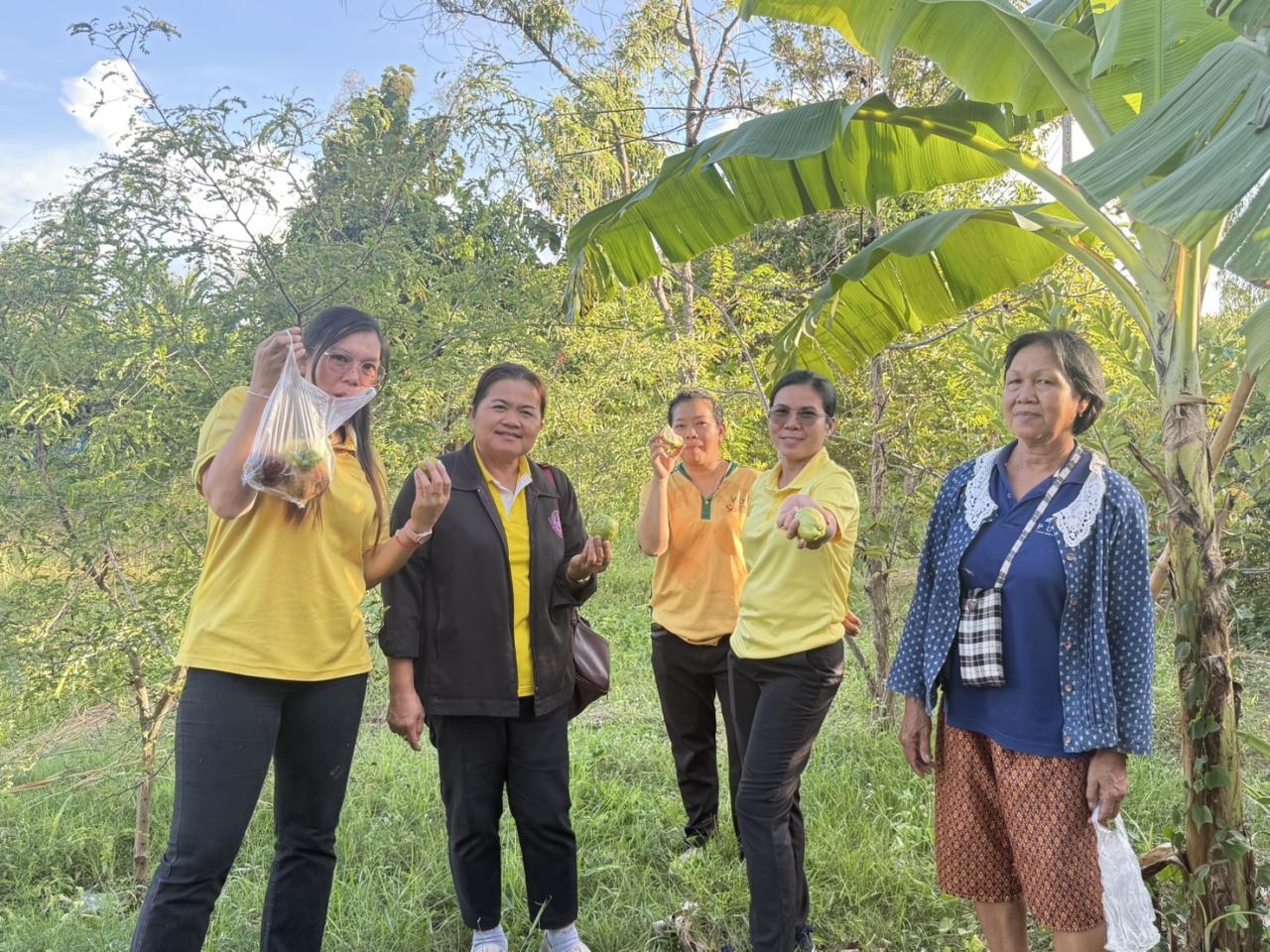 ภาพประกอบที่ 7