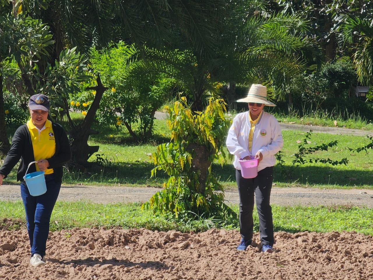 ภาพประกอบที่ 3