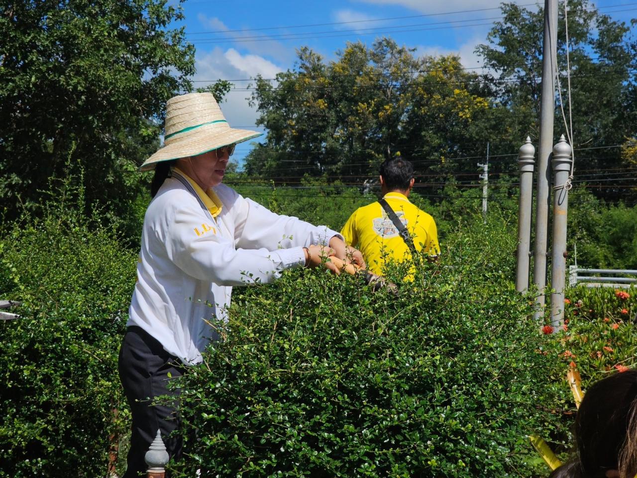 ภาพประกอบที่ 4