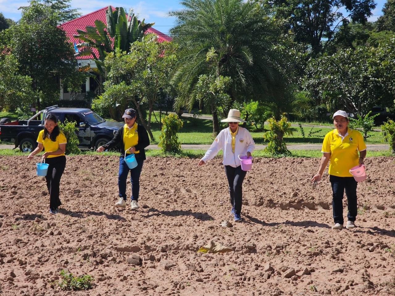 ภาพประกอบที่ 5