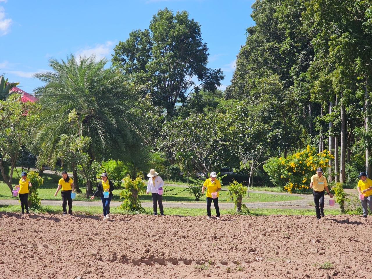 ภาพประกอบที่ 6