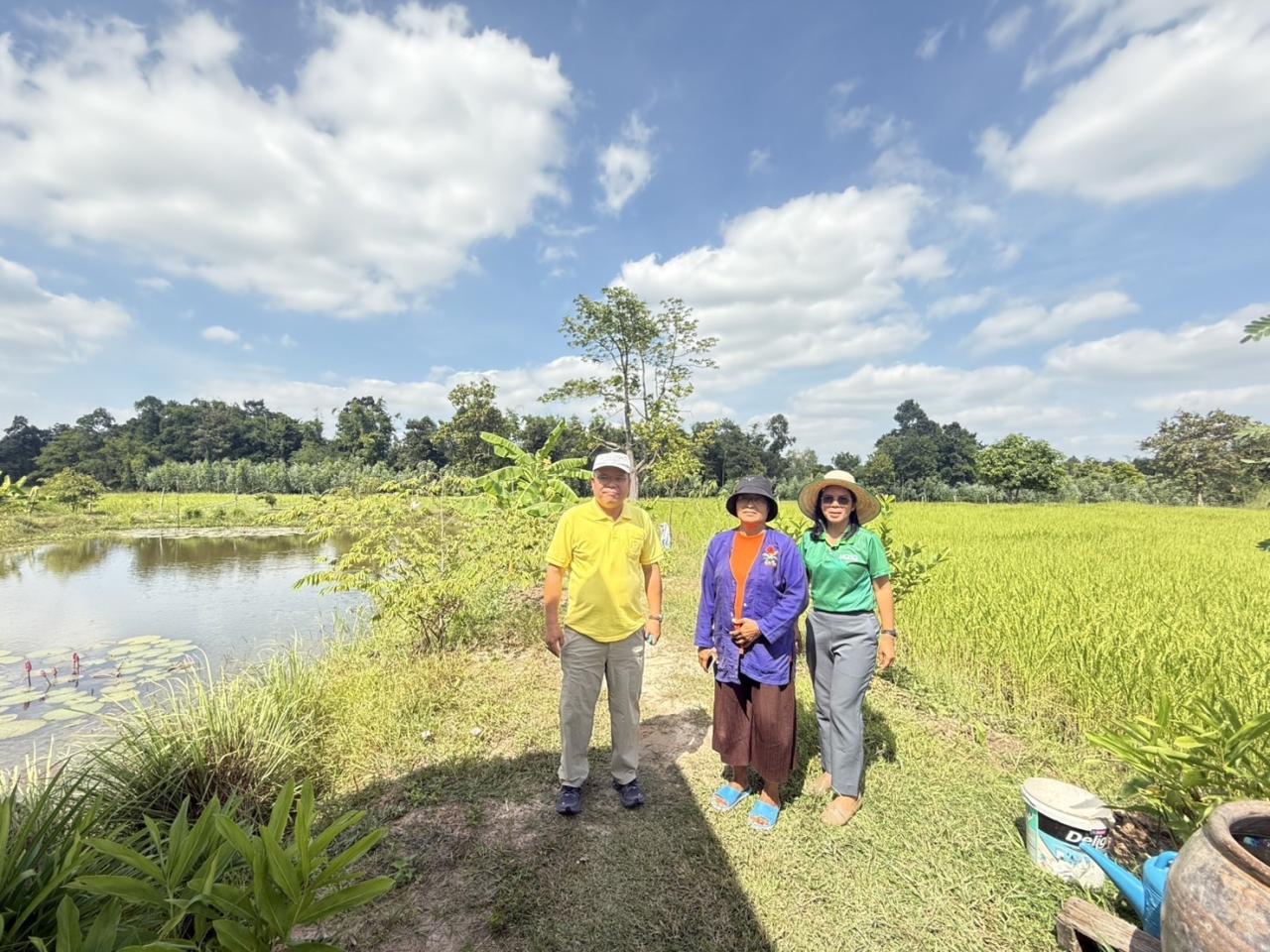 ภาพประกอบที่ 6