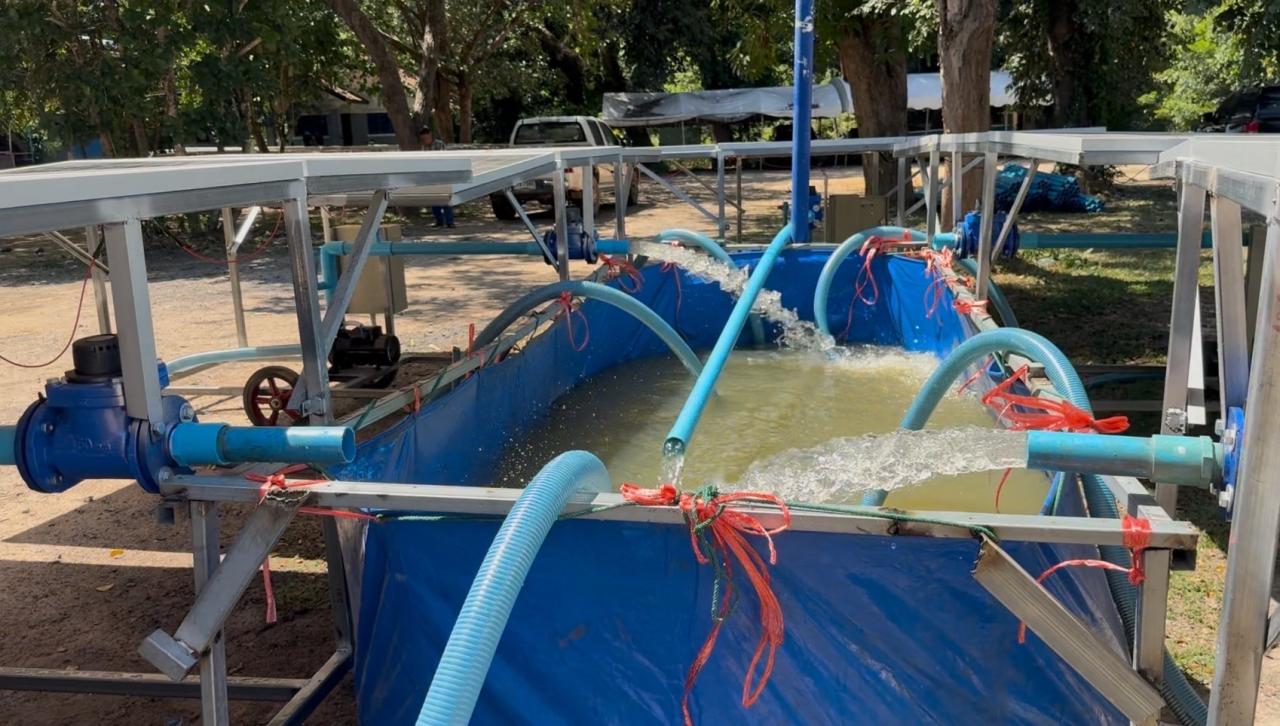 ภาพประกอบที่ 11