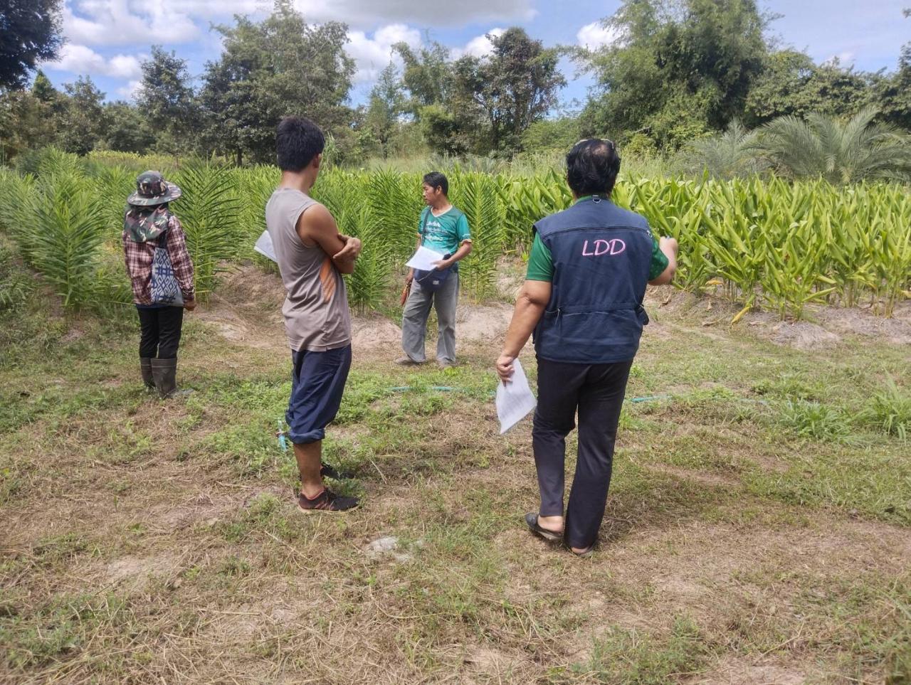 ภาพประกอบที่ 2